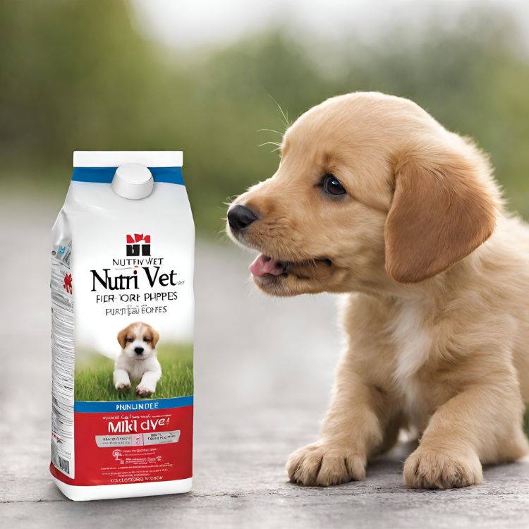 Sữa Nutri – Vet - Sản phẩm đặc biệt cho thú cưng